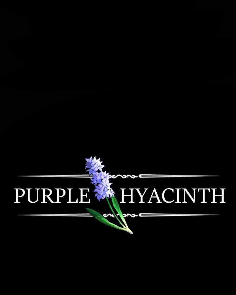 Purple Hyacinth Chapter 72 3